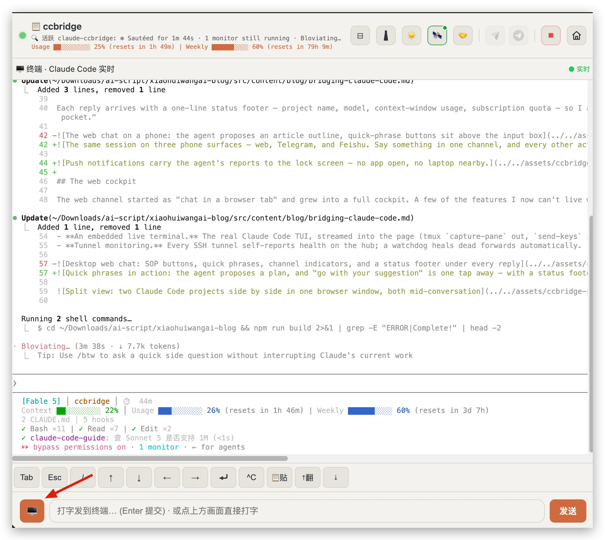 The embedded live terminal showing the real Claude Code TUI