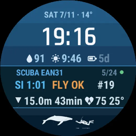 The final scuba face: whale and diver, face to face